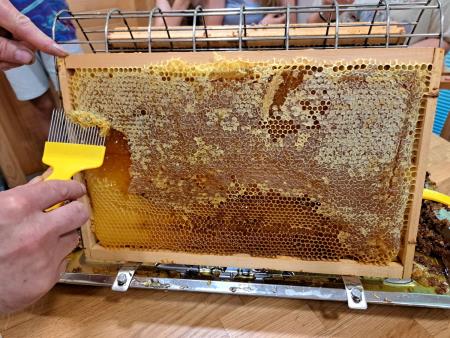 Prikaz tocenja medu 2024 05